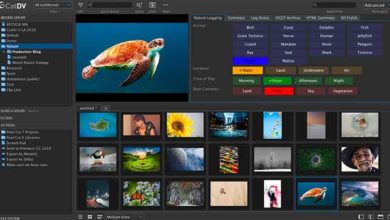 Photo of Square Box Systems equips flagship MAM solution with AI integration