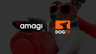 Photo of Amagi shifts Dog TV’s broadcast kennel to the cloud