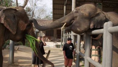 Photo of “BBC Travel Show” now available on China’s Ctrip travel app