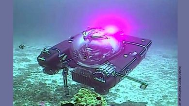 Photo of Live broadcast from under the sea!