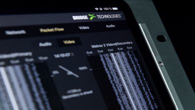 Photo of Bridging the IP gap