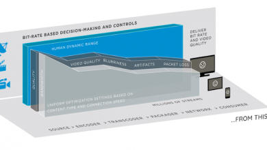 Photo of A SIN not to use SSIM