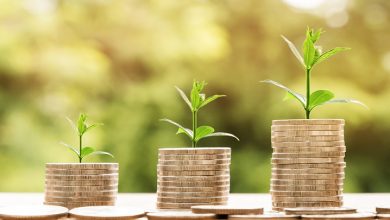 Photo of Video content investment skyrocketed to US$10b in Asia