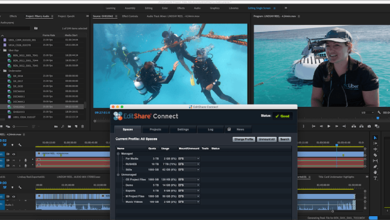 Photo of EditShare shares real-time 4K footage of Great Barrier Reef