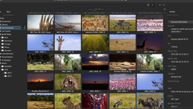 Photo of Thailand’s oldest institute taps Sony to modernise its archives