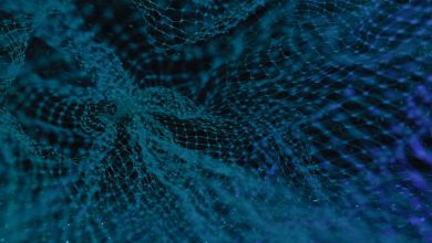 Photo of Telcos should become digital service providers, says EY