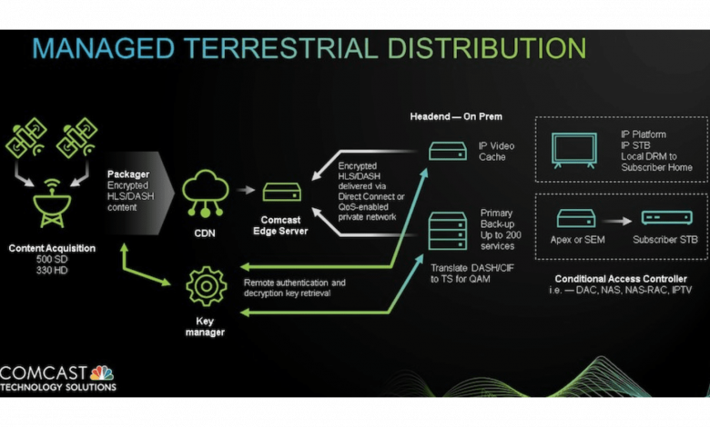 Black and green graphic of the terrestrial delivery process