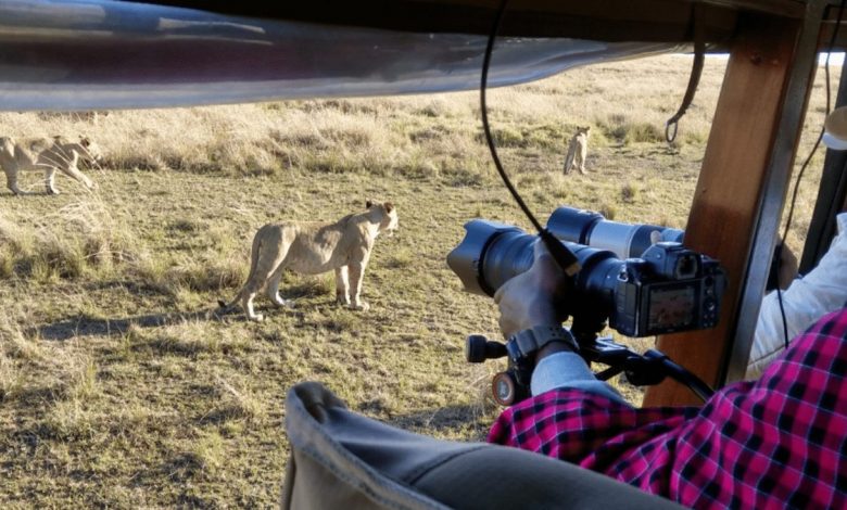 Image of DX-210 and a laptop showing two wild animals