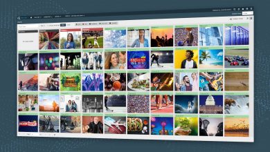 Photo of Telestream helps Firstlight Media provide quality OTT live services