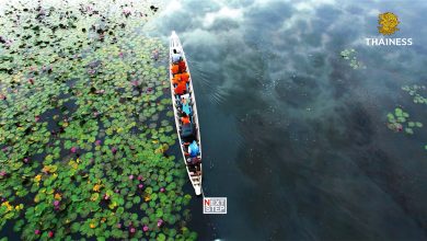 Photo of Next Step brings Thai culture to global audience via AsiaSat 7