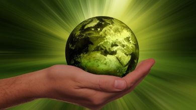 Photo of Dispel greenhushing: Why & how the broadcast/media industry can journey to a sustainable greener future