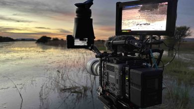Photo of Gavin Rawlings falls in love with his Sony’s versatile Burano camera